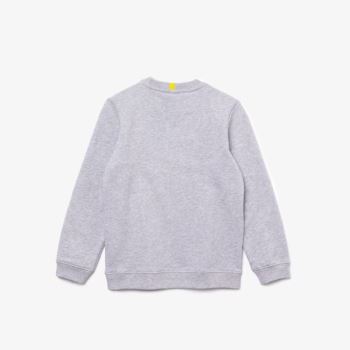 Lacoste Lacoste x National Geographic Fleece Sweatshirt - Mikiny Dětské Šedé / Bílé | CZ-KulKb1